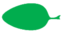 Leaf morphology ovale.png