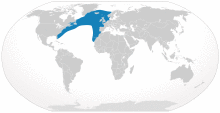 Cypron-Range Eubalaena glacialis.svg