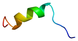Protein SCN5A PDB 1byy.png