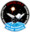 Sts-51-f-patch.png