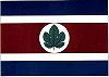 Flag of Taquarituba