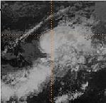 Tropical Depression 7-E 1982.jpg