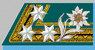 Stabsoberjäger k.k. Gebirgstruppe 1907-14.png