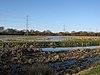 Staines Moor