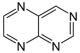 Skeletal formula of pteridine