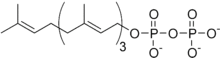 Geranylgeranyl pyrophosphate.png