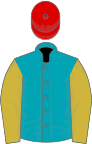 Peacock blue, old gold sleeves, red cap