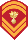 Insignia of a permanent Hellenic army sergeant.