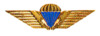 Danish Parachutist Badge.png