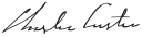 Cursive signature in ink