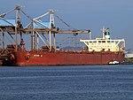 Ruhr N IMO 8410108 Pic6 05July2009, Port of Rotterdam.jpg
