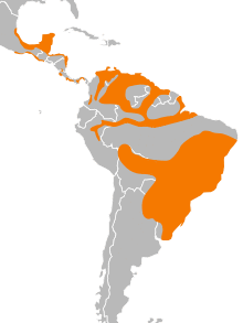 Cathartes burrovianus distribution.svg