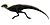 Pisanosaurus.jpg