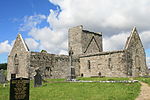 Burrishoole Friary SE 2007 08 13.jpg