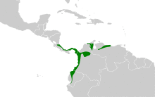Ornithion brunneicapillus map.svg