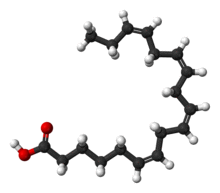 Stearidonic-acid-3D-balls.png