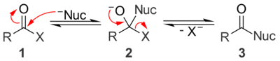 A general mechanism for base catalyzed nucleophilic acyl substitution