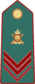 Guardia di Rocca OR2.png