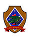 3rdAAVinsignia.jpg