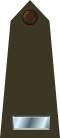 US Army O2 (Army greens).svg