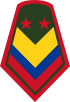 Colombia-Army-OR-8.svg