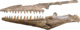 Tylosaurus nepaeolicus AMNH 124, 134.png