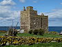 Pele Tower, Inner Farne Island - geograph.org.uk - 2010838.jpg
