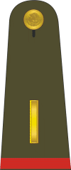 Mexican Military Subteniente.gif