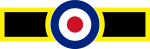 RAF 111 Sqn.svg
