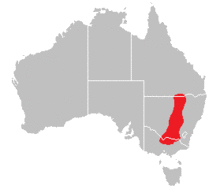 Crinia sloanei distribution.png