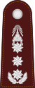 RTP OF-8 (Police Lieutenant General).svg