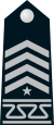 USAFA Wing Command Chief.svg