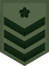 JGSDF Leading Private insignia (miniature).svg