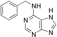 Skeletal formula of 6-benzylaminopurine