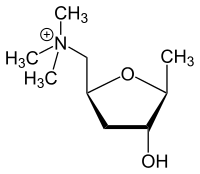 Chemical structure of muscarine