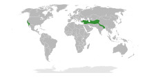 Datisca distribution.svg
