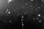 Dia-Jewitt-CFHT image-crop.png
