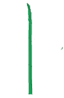 Plant morphology solid filiform.png