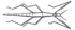 Stick insect line diagram.png