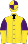 Yellow, purple and yellow halved sleeves, yellow and purple quartered cap