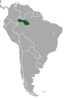Collared Titi area.png