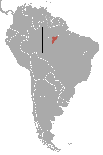 Santarem Marmoset area.png