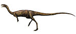 Elaphrosaurus.jpg