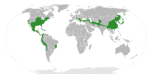 Juglandoideae Distribution.svg