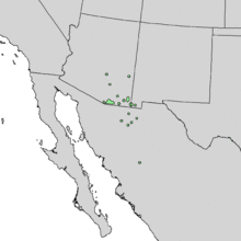 Quercus toumeyi range map 1.png
