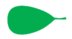 Leaf morphology obovate.png