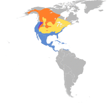 Aythya affinis map.svg