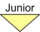 DownArrow Junior.png