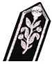 SJAS Commissioner Gorget Patch.jpg