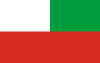 Flag of Caazapá